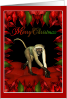 Merry Christmas - Monkey card