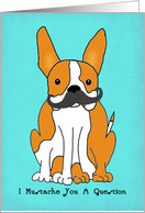 I Mustache You A Question Dog With a Mustache Birthday Card