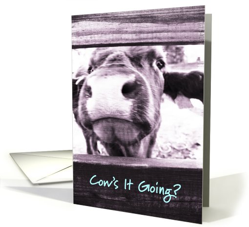 Cow's It Going? card (514826)