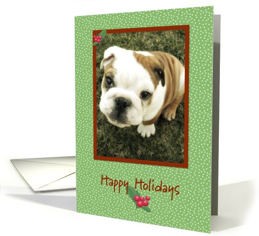 Bulldog Puppy Happy Holidays card (517371)