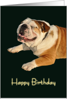 Smiling Bulldog Birthday card