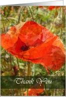Red Poppy Thank You card