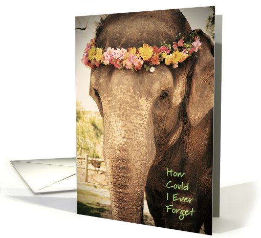 Elephant Birthday card (615496)