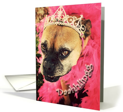 Divine Boxer Birthday card (622298)