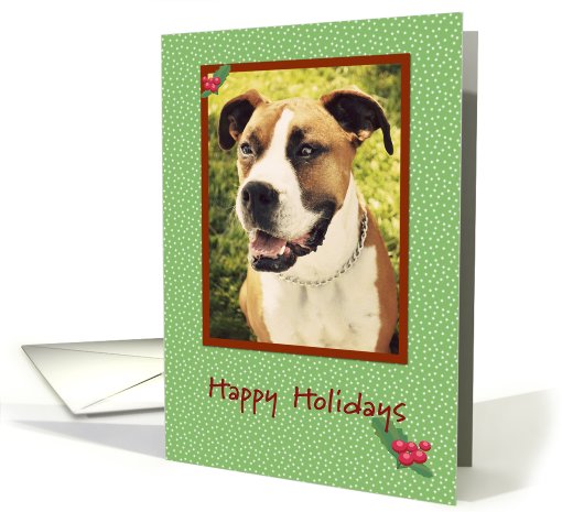 Boxer, Happy Holidays card (656827)
