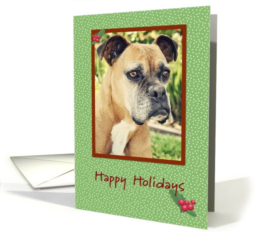 Boxer Happy Holidays card (657250)
