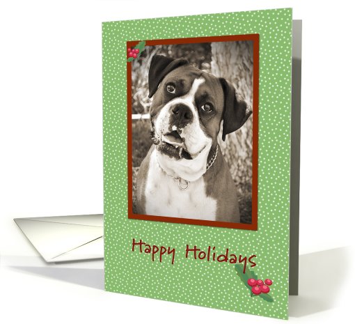Boxer Happy Holidays card (657252)