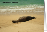 Vacation-beach with seal card