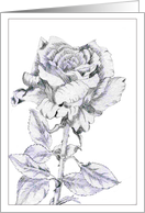 The Rose card