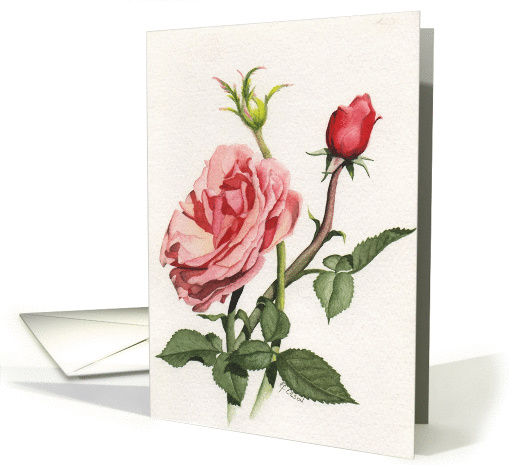 Peach Rose card (300046)