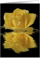 Yellow rose water reflection blank note card - any occasion card