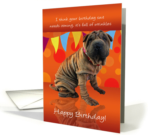 Fun Shar Pei Birthday Card With Birthday Humor card (1123106)