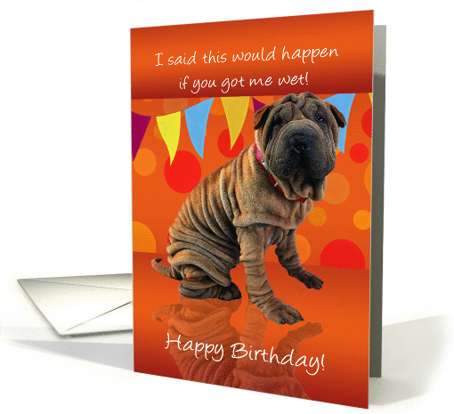 Fun Shar Pei Birthday Card With Birthday Humor card (1123112)