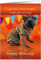 Fun Shar Pei Birthday Card With Birthday Humor card