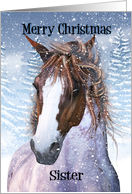 Sister Equine Horse With Winter Background card