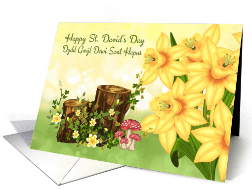 St. David's Day Greeting With Forest Plants And Daffodils card