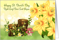 St. David’s Day Greeting With Forest Plants And Daffodils card