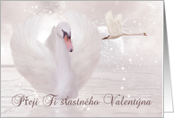 Czechoslovakian valentine’s day greeting card - Swan card