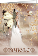 Imbolc Fantasy Fairy Art Card - The Spirit Of Dawn card