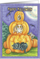 halloween card with cats in pumpkins card