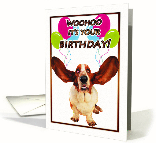 basset hound birthday card - woohoo it's your birthday card (859546)