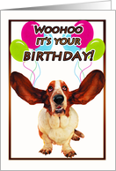 basset hound birthday card - woohoo it’s your birthday card