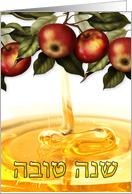 Rosh Hashanah Greeting Card With Apples - Shana Tova card