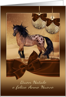 Italian Horse Christmas Holiday Card