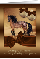 Dutch Horse Christmas Holiday Card