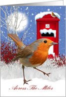 Traditional Across The Miles Robin And Mail Box Card