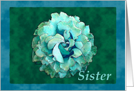 Sister card