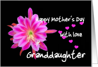 Mother's Day Cards for Granddaughter from Greeting Card Universe