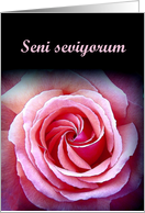 Seni seviyorom- I love you - Turkish card