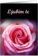 Ljubim te - I love you -Slovenian card