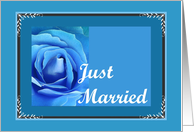 Just Married - Blue Rose card