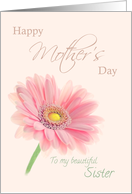 Sister Happy Mother’s Day Pink Gerbera Daisy Shell Pink card