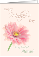 Mamaw Happy Mother’s Day Pink Gerbera Daisy Shell Pink card