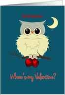 Grandson Valentine’s Day Cute Owl Humor Whoo’s my Valentine? card