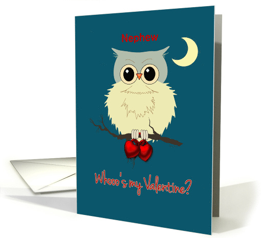 Nephew Valentine's Day Cute Owl Humor Whoo's my Valentine? card