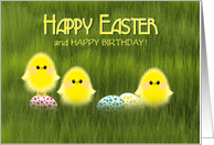Birthday on Easter Cute Chicks in Green Grass Speckled Eggs card