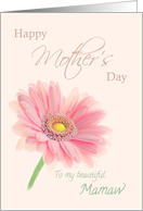 Mamaw Happy Mother’s Day Pink Gerbera Daisy on Shell Pink card