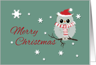 Christmas Cute Owl in Scarf and Santa Hat Merry Christmas card