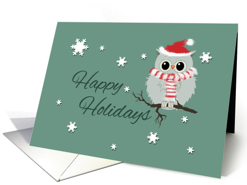Christmas Cute Owl in Scarf and Santa Hat Happy Holidays card