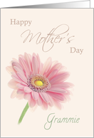 Grammie Happy Mother’s Day Pink Gerbera Daisy on Shell Pink card