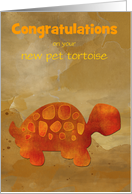 Congratulations New Pet Tortoise Funny Custom Front Text card