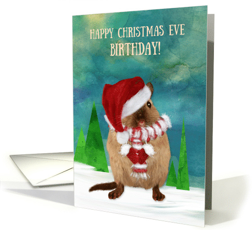 Christmas Eve Birthday Santa Gerbil in Winter Scene card (1492856)