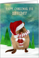 Christmas Eve Birthday Santa Gerbil in Winter Scene card