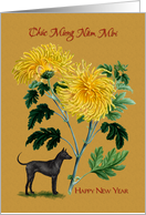 Vietnamese Tet New Year Yellow Chrysanthemums and Ridgeback Dog card