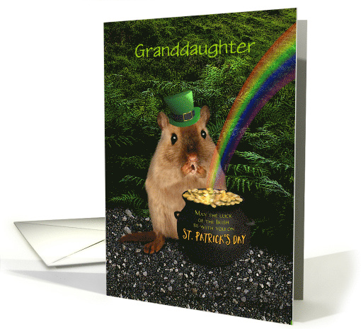 Granddaughter Lucky Irish Gerbil St. Patrick's Day Pot O' Gold card