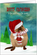 Kids Custom Merry Christmas Gerbil in Santa Hat Scarf and Mittens card
